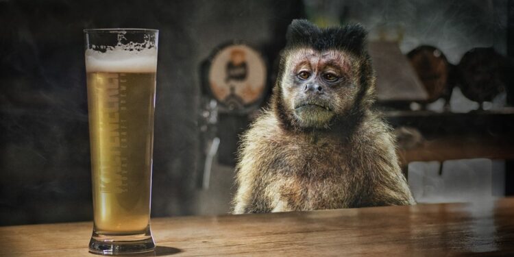 Blissful Bubbles: Exploring the Delightful World of Peach Lambic