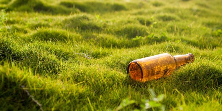 Ultimate Guide to Choosing the Best Beer Coolers for Your Next Party