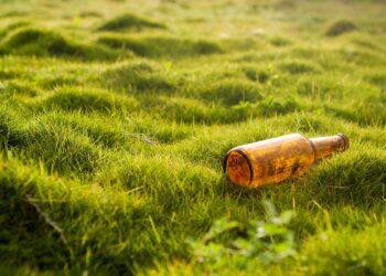 Mastering Homebrewing Contests: Tips for Winning Your Next Competition