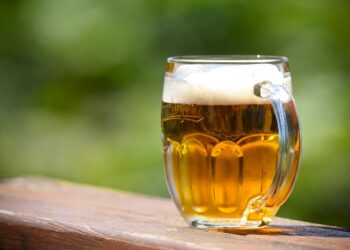 Pairing Perfection: The Best Beer and Gourmet Meals for Every Occasion