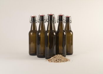 Perfect Pairings: The Best Beer to Complement Your Grilled Food