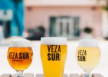 10 Essential Features to Look for in a Brew Kettle