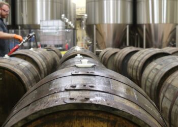 Unlocking the Secrets of Beer Foam Stability for Perfect Pour