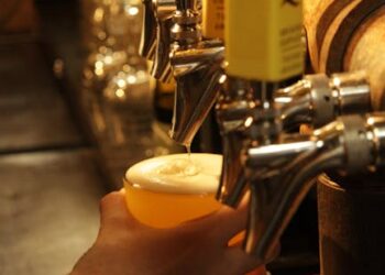 10 Best West Coast IPA Breweries You Need to Visit