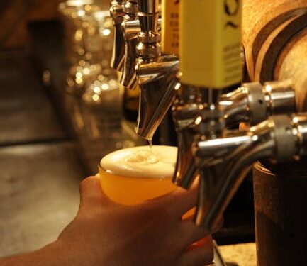 10 Best West Coast IPA Breweries You Need to Visit