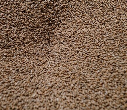 7 Essential Tips for Perfecting Partial Mash Brewing