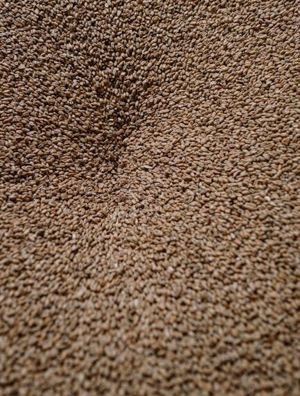 7 Essential Tips for Perfecting Partial Mash Brewing