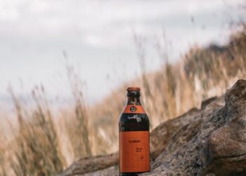 10 Reasons to Love Session Beer This Summer